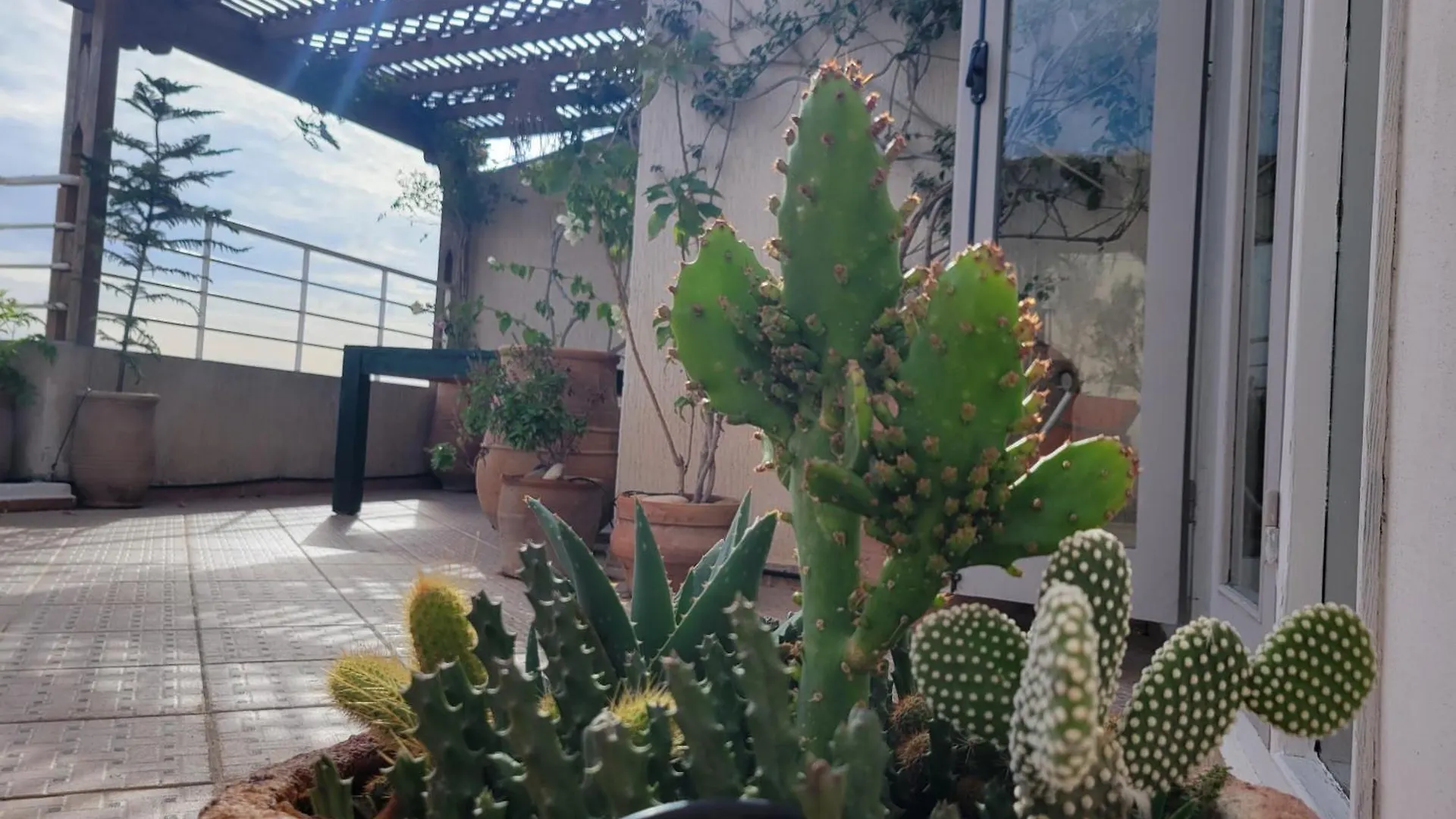 Apartment Las Terrazas Mogador Essaouira